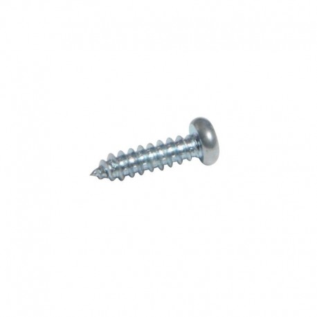 SCREW (EACH)