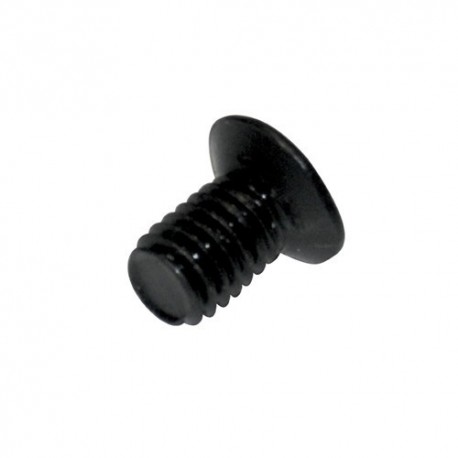 SCREW M5 X 8 (EACH)