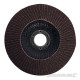 Aluminium Oxide Flap Disc - 125mm 80 Grit